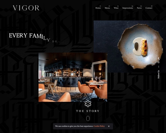 Vigor Logo